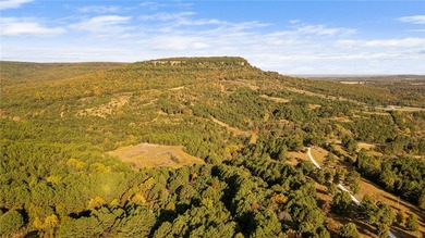 Attention Investors and Developers: Round Mountain Estates is - photo 17