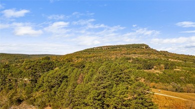 Attention Investors and Developers: Round Mountain Estates is - photo 24