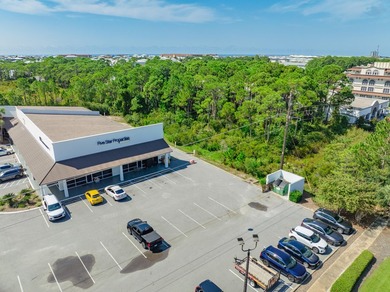 Fantastic vacant commercial parcel located in South Walton - photo 25