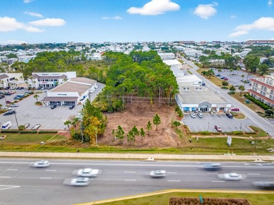 Fantastic vacant commercial parcel located in South Walton - photo 28