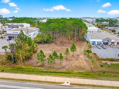 Fantastic vacant commercial parcel located in South Walton - photo 29