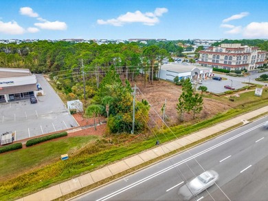 Fantastic vacant commercial parcel located in South Walton - photo 30