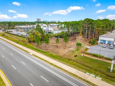 Fantastic vacant commercial parcel located in South Walton - photo 31