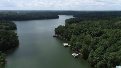 CUSTOM 5 BEDROOM 3.5 BATH BRICK HOME ON LAKE WEDOWEE LOCATED ON - photo 32