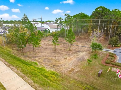Fantastic vacant commercial parcel located in South Walton - photo 32
