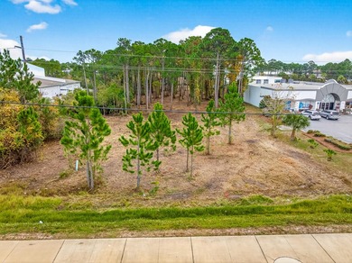 Fantastic vacant commercial parcel located in South Walton - photo 33