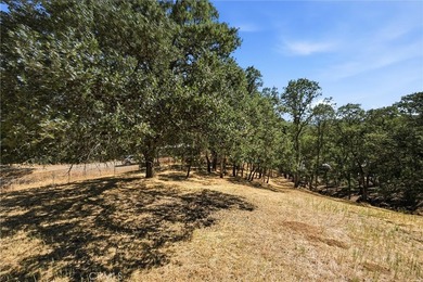 Pinnacle Court in Hidden Valley Lake presents a stunning two - photo 33