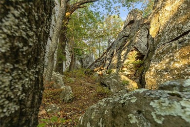 Attention Investors and Developers: Round Mountain Estates is - photo 34