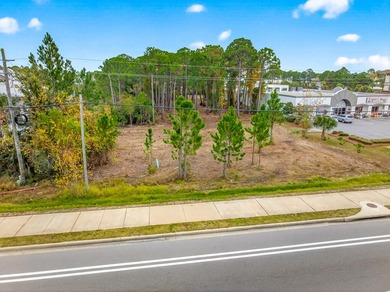 Fantastic vacant commercial parcel located in South Walton - photo 34