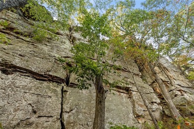 Attention Investors and Developers: Round Mountain Estates is - photo 35