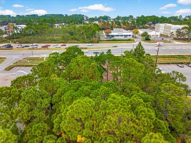 Fantastic vacant commercial parcel located in South Walton - photo 35