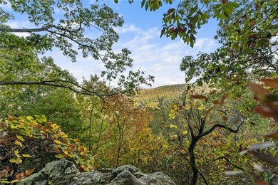 Attention Investors and Developers: Round Mountain Estates is - photo 36