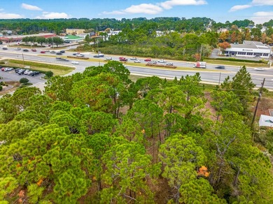 Fantastic vacant commercial parcel located in South Walton - photo 36