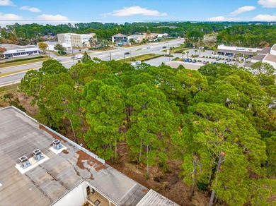 Fantastic vacant commercial parcel located in South Walton - photo 37