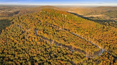 Attention Investors and Developers: Round Mountain Estates is - photo 38