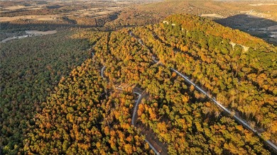 Attention Investors and Developers: Round Mountain Estates is - photo 40