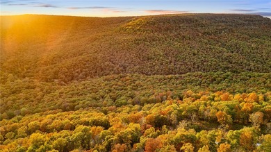 Attention Investors and Developers: Round Mountain Estates is - photo 41