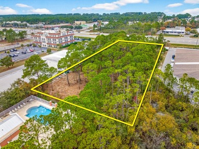 Fantastic vacant commercial parcel located in South Walton - photo 41