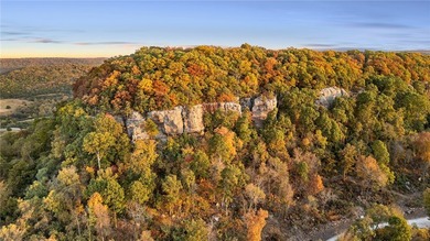 Attention Investors and Developers: Round Mountain Estates is - photo 42