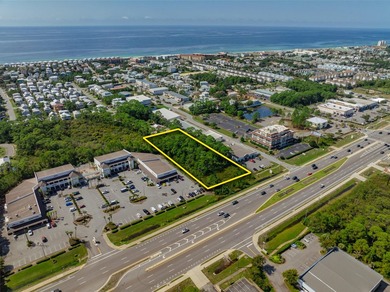 Fantastic vacant commercial parcel located in South Walton - photo 42