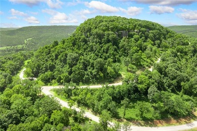 Attention Investors and Developers: Round Mountain Estates is - photo 44