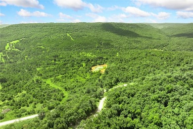 Attention Investors and Developers: Round Mountain Estates is - photo 53
