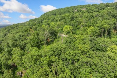 Attention Investors and Developers: Round Mountain Estates is - photo 55