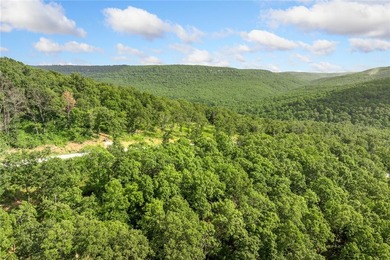 Attention Investors and Developers: Round Mountain Estates is - photo 56