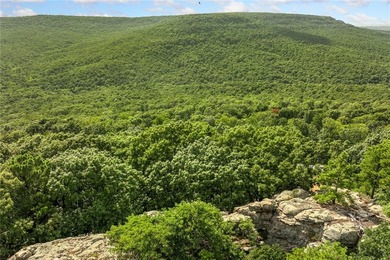 Attention Investors and Developers: Round Mountain Estates is - photo 60