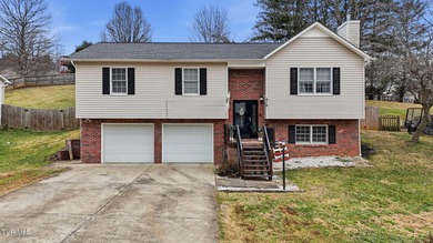 Boone Lake Home For Sale in Bluff City Tennessee