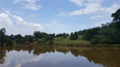 Lake Acreage For Sale in Iva, South Carolina