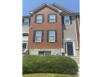 Lake Townhome/Townhouse For Sale in Gilberts, Illinois