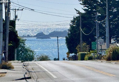 In a small, attractive 55+ park NEAR BEACHES and the harbor - photo 17