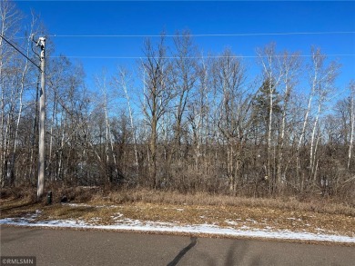 Fish Lake - Chisago County Lot For Sale in Arthur Twp Minnesota