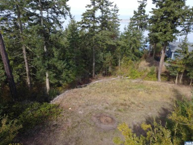 Strait Juan de Fuca  Acreage For Sale in Sequim Washington
