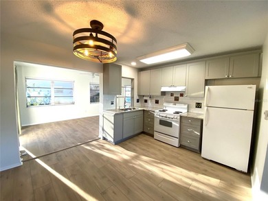 Welcome to 10032 36th Street North in Pinellas Park, Florida - photo 11