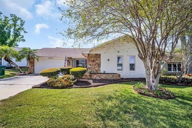 Lake Tarpon Home Sale Pending in Palm Harbor Florida