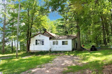 Fife Lake Home For Sale in Fife Lake Michigan