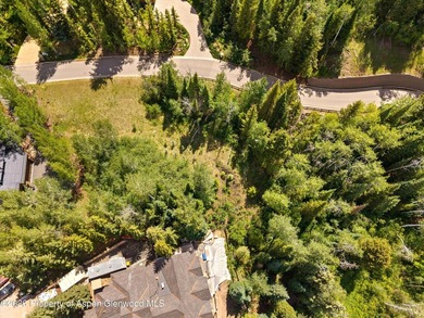 Build your dream mountain retreat on this exceptional vacant lot - photo 5