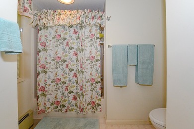 Contact Liz Marcella. Immaculate 3-Bedroom Condo with Panoramic - photo 31