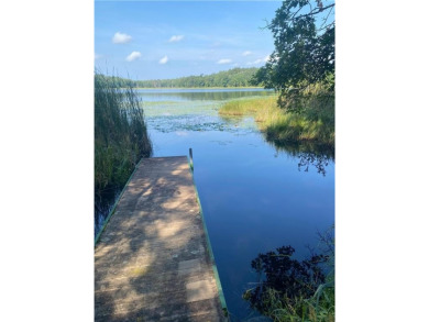 Lake Acreage For Sale in Irondale Twp, Minnesota