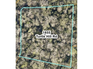 Lake Bethel Acreage For Sale in Deltona Florida