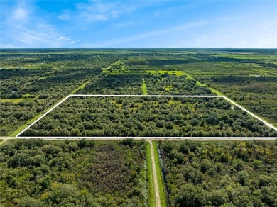 (private lake, pond, creek) Acreage For Sale in Okeechobee Florida