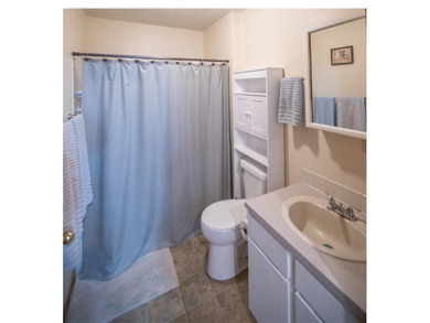 Discover this Cedar ranch walkout home set along the St. Joseph - photo 21
