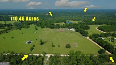 Lake Home For Sale in Nahunta, Georgia