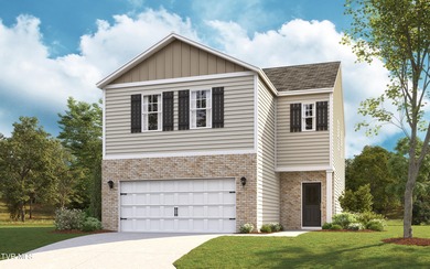 Boone Lake Home For Sale in Bluff City Tennessee