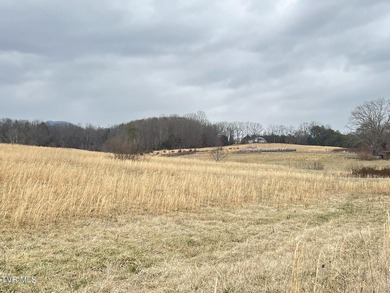 52 Acres with Mountain Views, Pond, Privacy & Prime Frontage - - photo 9