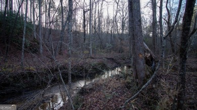 Lake Acreage For Sale in Talking Rock, Georgia