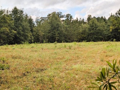 Chattahoochee Mini Farm Chattahoochee Mini Farm is located in - photo 11