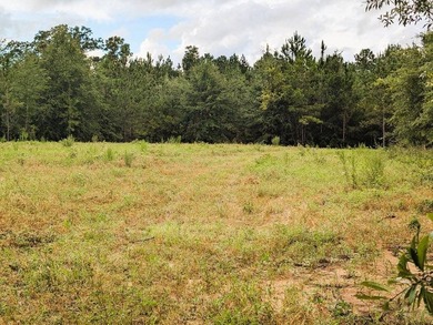 Chattahoochee Mini Farm Chattahoochee Mini Farm is located in - photo 12